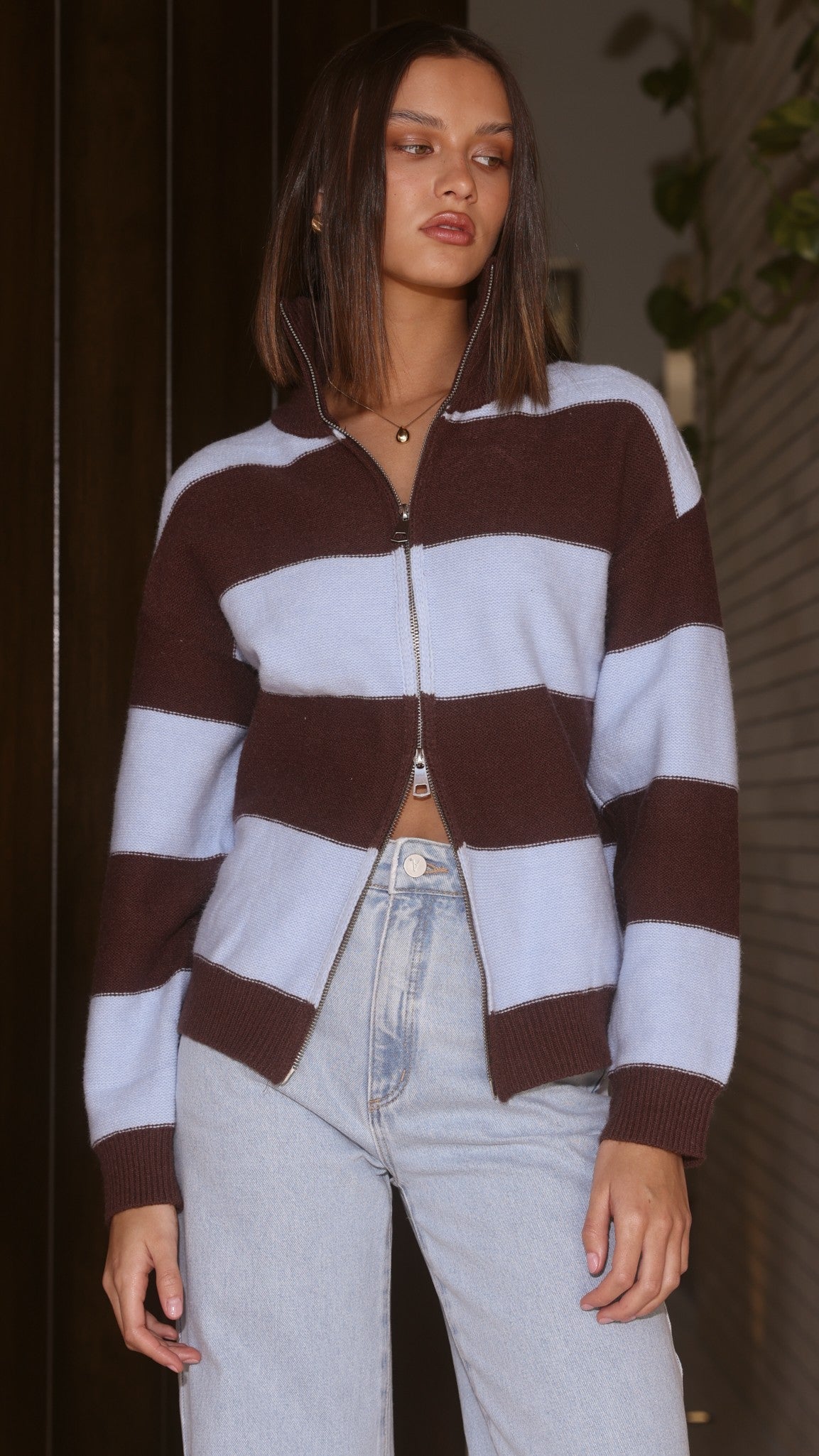 Tyla Zip-Up Sweater - Brown/Blue Stripe
