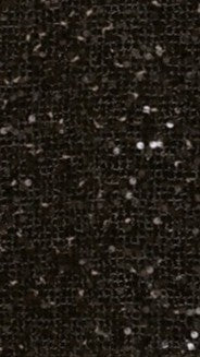 Zinnia Sequins Pant - Black
