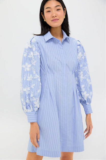 Blue Stripe Embroidery Mini Corinne Dress