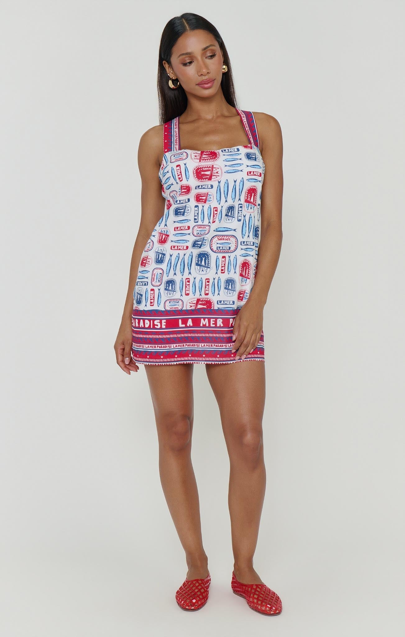 Detour Mini Dress ~ Sardine Border