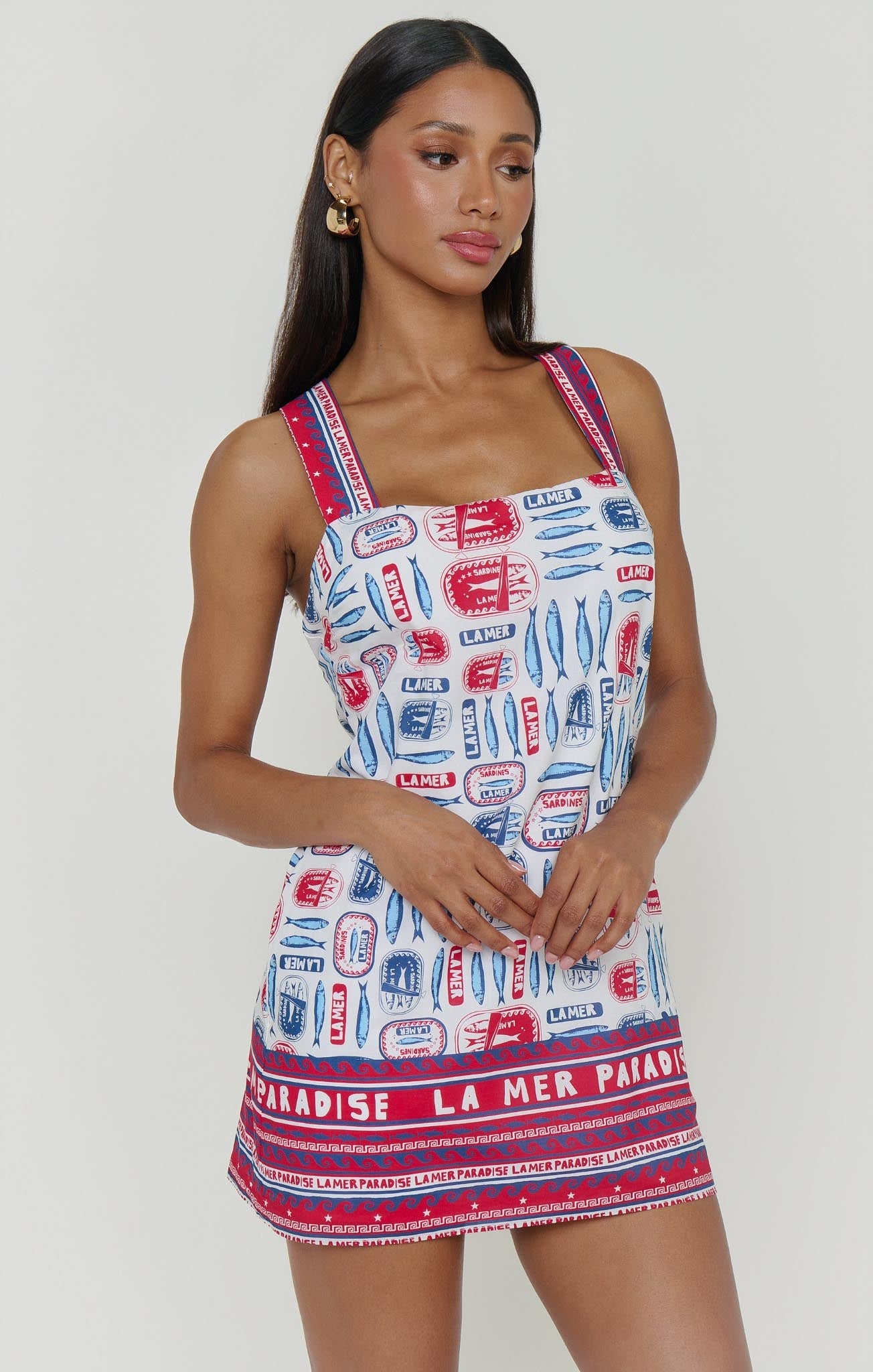 Detour Mini Dress ~ Sardine Border