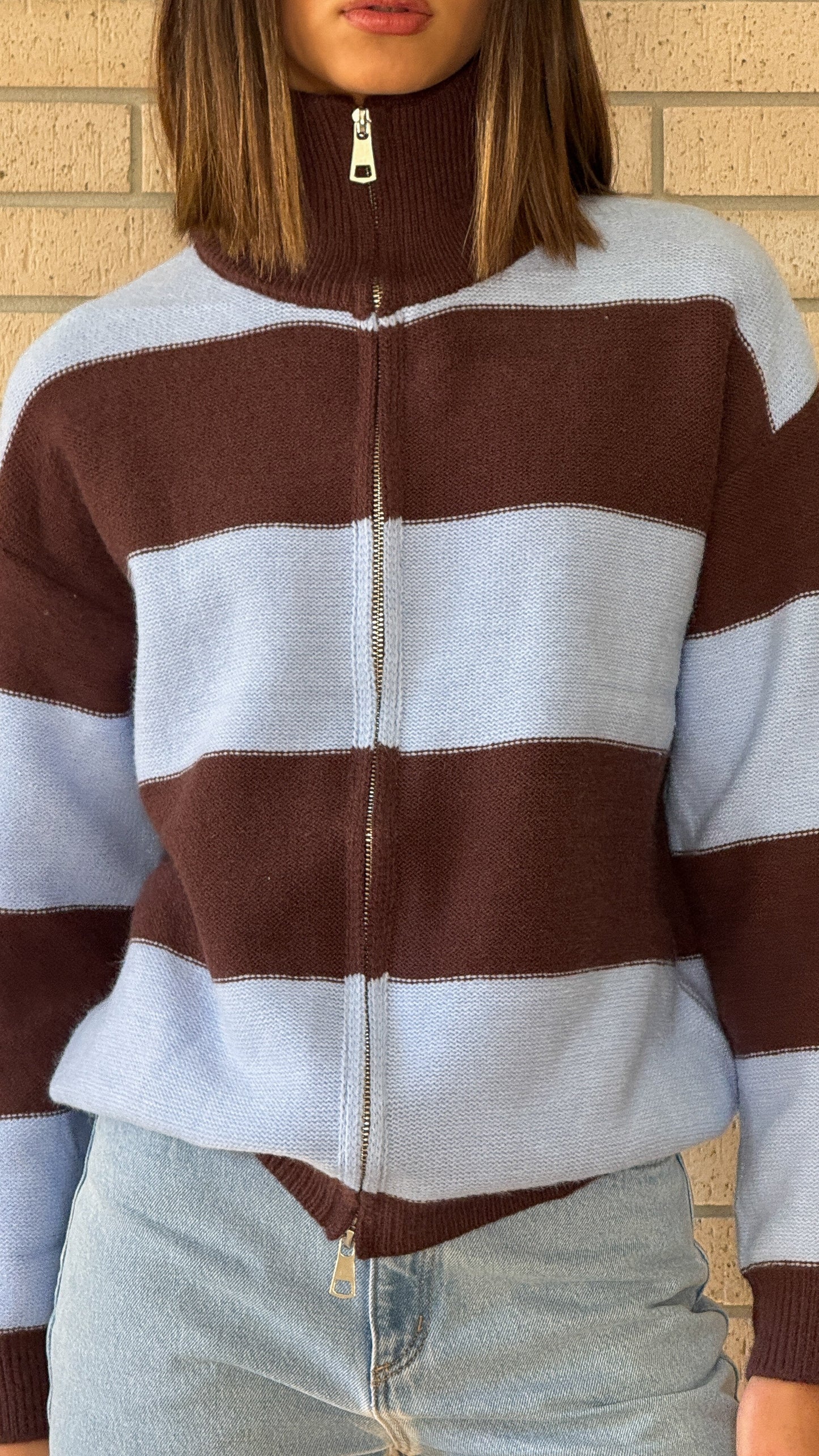 Tyla Zip-Up Sweater - Brown/Blue Stripe