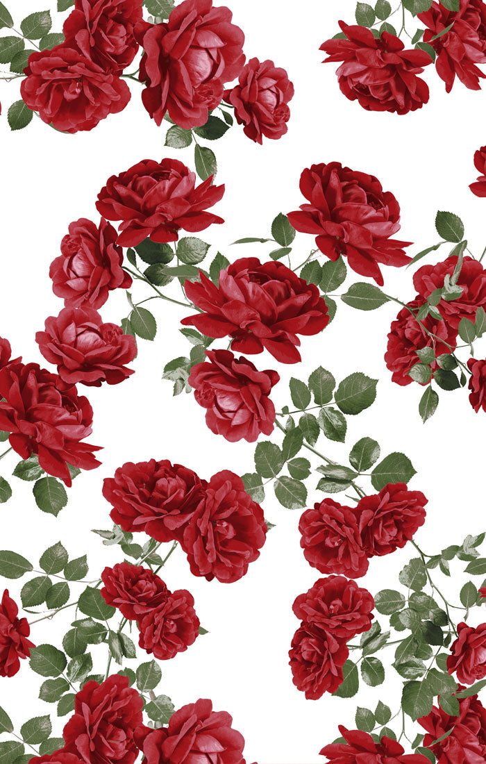 Bridesmaid Fabric Swatch