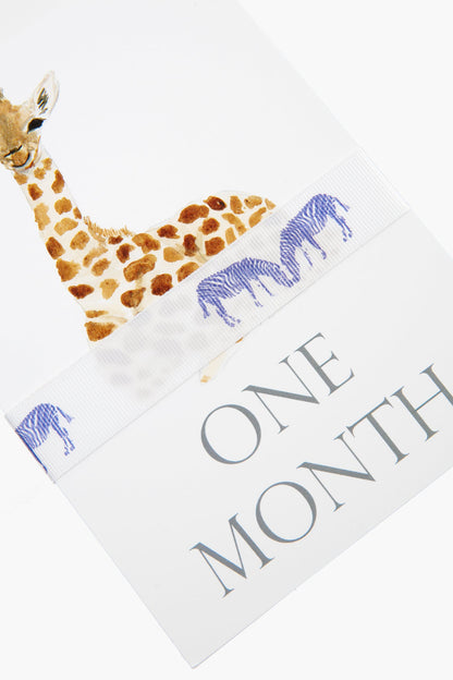Baby Month Cards
